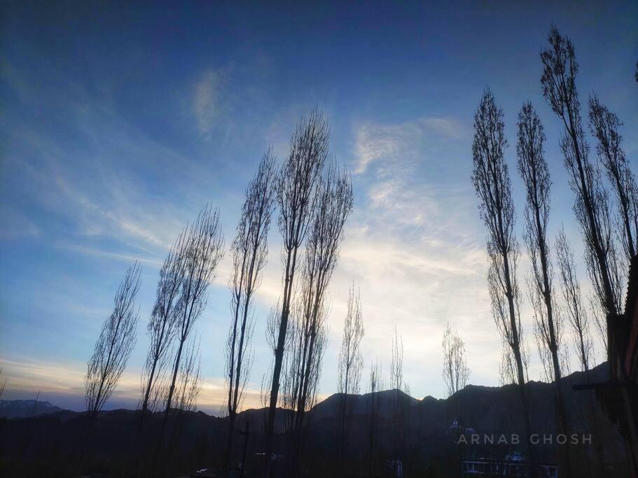 Snow Lion Ladakh Hotel Leh Luaran gambar